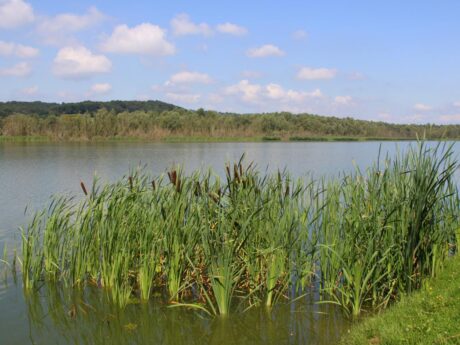 Ledavsko jezero Krašči