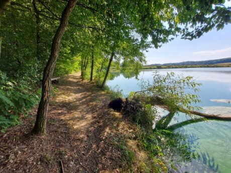 Ledavsko jezero Krašči
