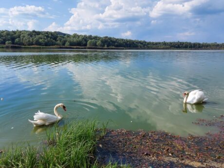 Ledavsko jezero