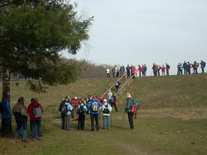 23. Memorial Marije Vild