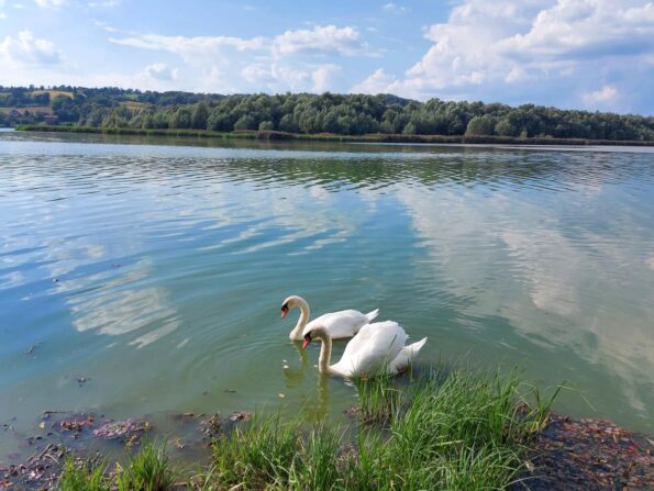 Ledavsko jezero
