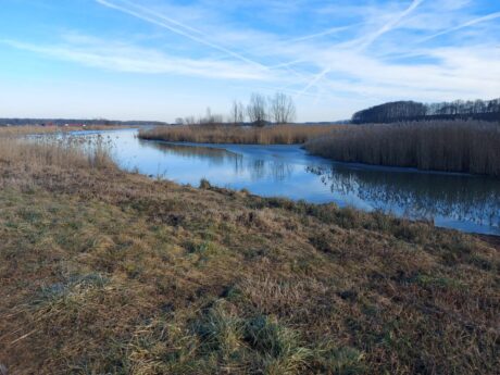 Gajševsko jezero