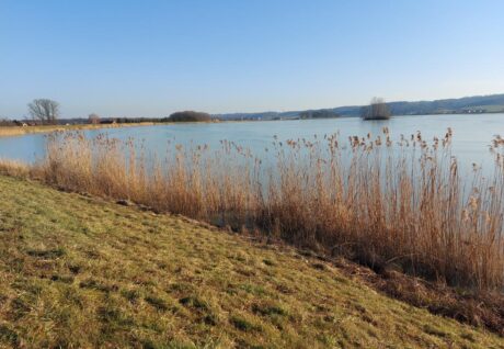 Gajševsko jezero pozimi
