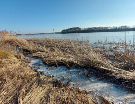 Gajševsko jezero pozimi