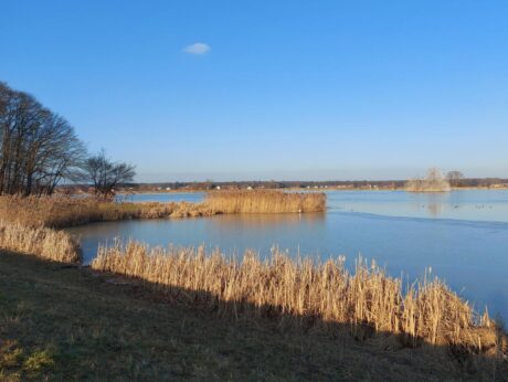 Gajševsko jezero pot