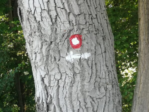 Pomurska planinska pot PPP