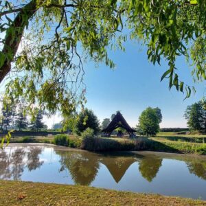 Oče panonskih hrastov