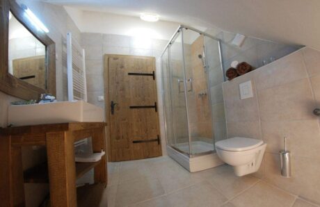 Panonska vas Tešanovci apartma