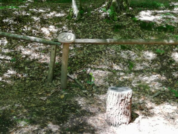 Bukovniško jezero energijske točke