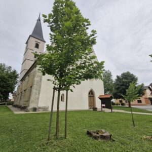 Cerkev Marijinega vnebovzetja Apače