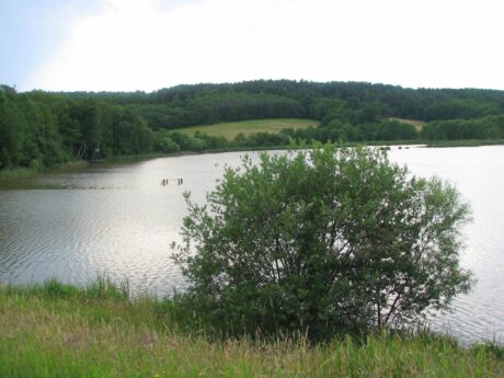 Hodoško jezero
