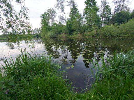 Hotiško jezero