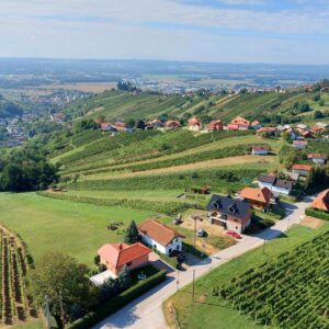 Lendavske gorice razgled