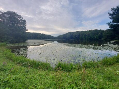 Negovsko jezero