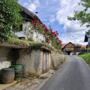 Strehovske gorice cimprače