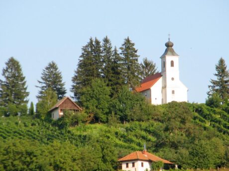 Cerkev sv. Trojice Lendavske goric