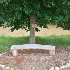 Zdravilne energijske točke Razkrižje