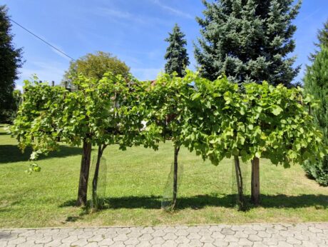 Park prekmurske reformacije Moravske Toplice