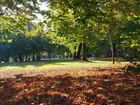 Soboški mestni park