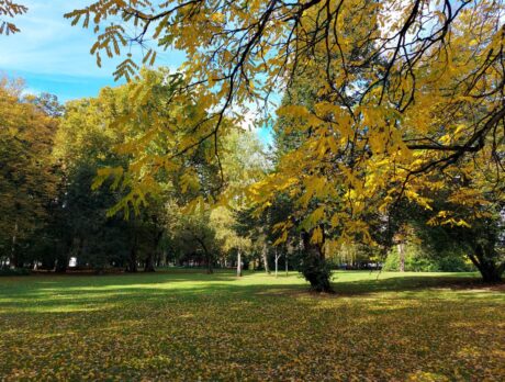 Soboški mestni park