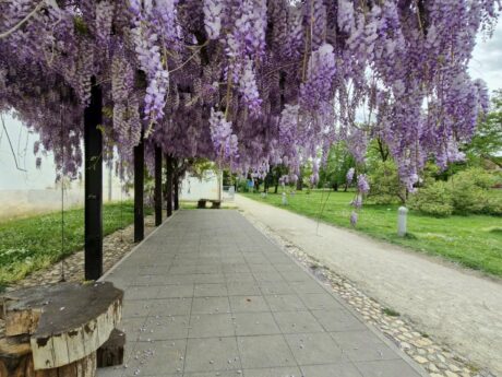 Soboški mestni park