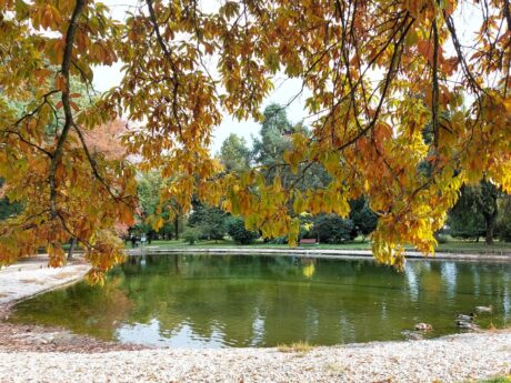 Mestni park Murska Sobota jesen