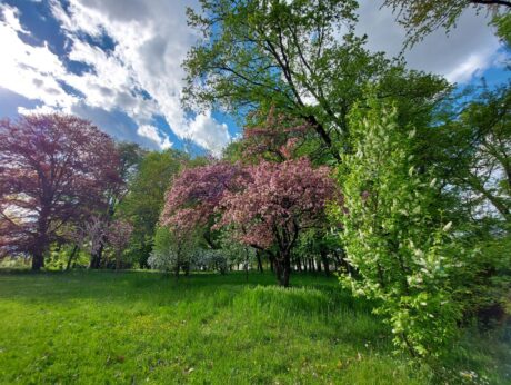 Mestni park Murska Sobota spomladi
