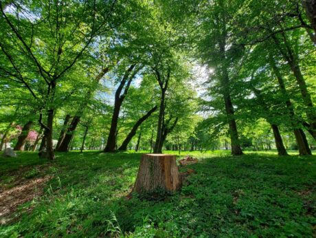 Mestni park Murska Sobota
